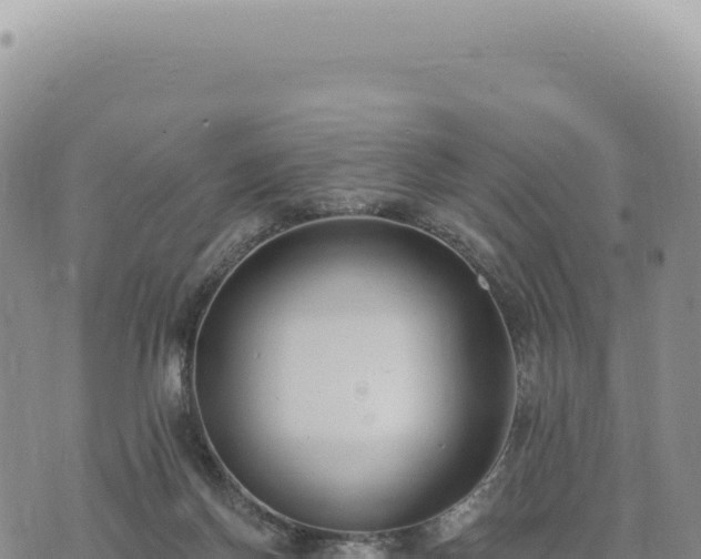 X0000073710166200608101848