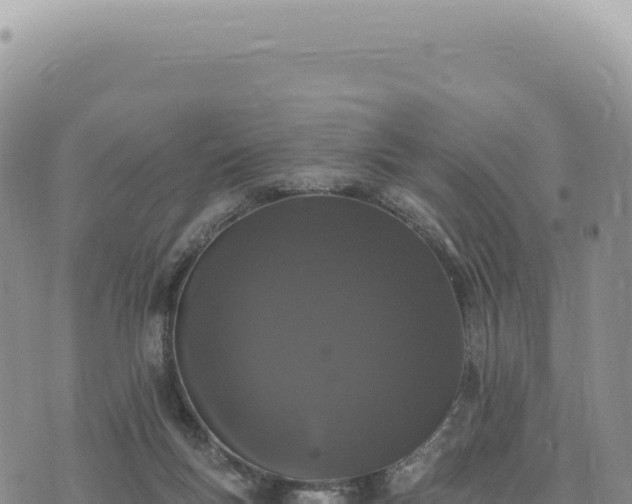 X0000073710167200608101848