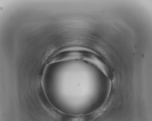 X0000073710168200608101848