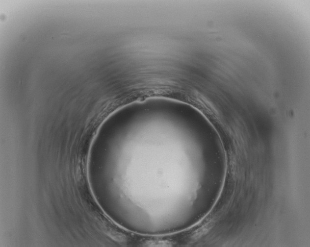 X0000073710169200608101848