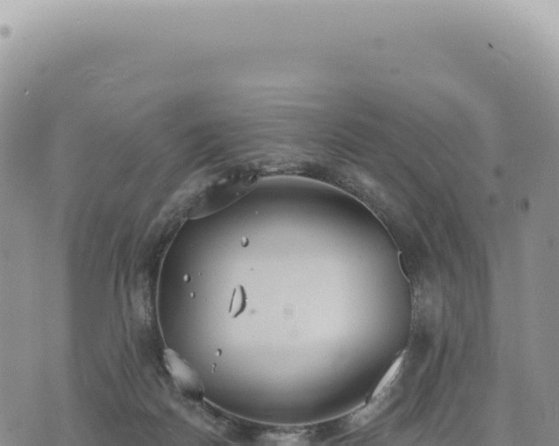 X0000073710170200608101848