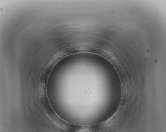 X0000073710171200608101848