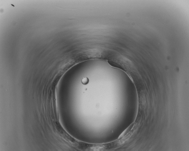 X0000073710172200608101848