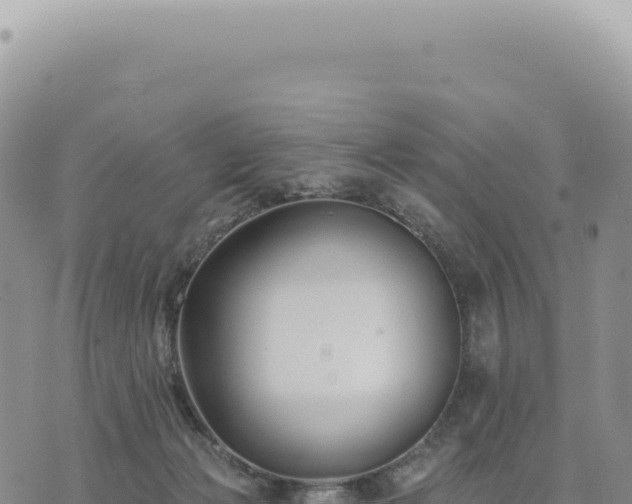 X0000073710173200608101848