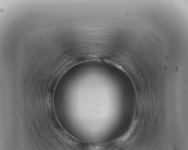 X0000073710174200608101848