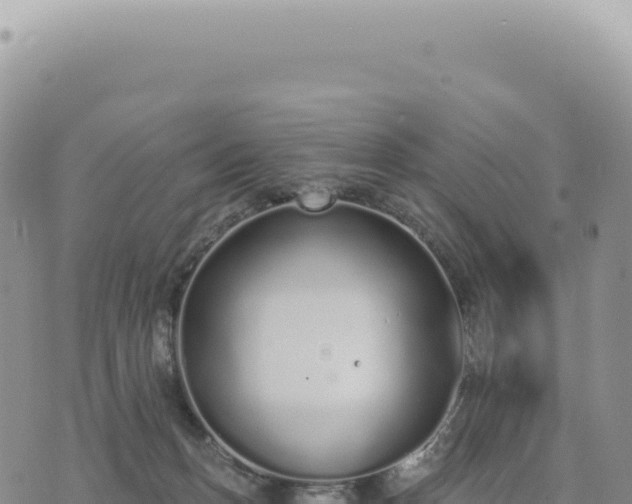 X0000073710175200608101848