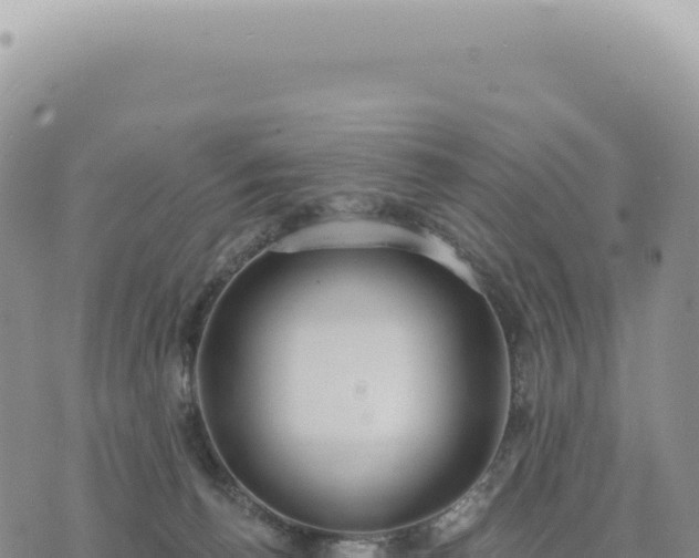 X0000073710176200608101848