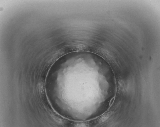 X0000073710177200608101848