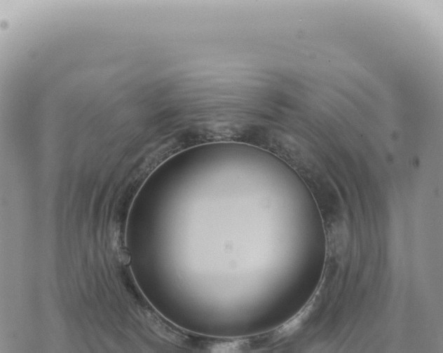 X0000073710178200608101848