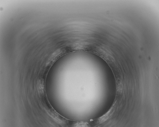 X0000073710179200608101848