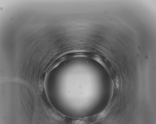 X0000073710180200608101848