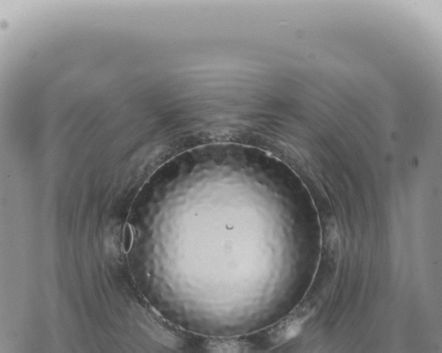 X0000073710181200608101848