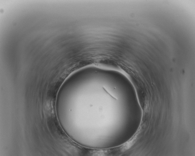 X0000073710182200608101848