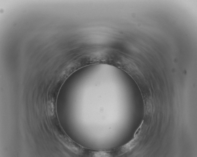 X0000073710183200608101848