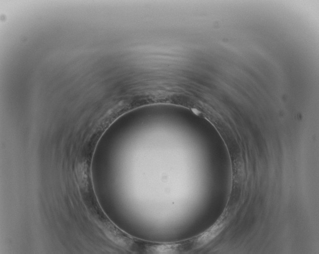 X0000073710184200608101848