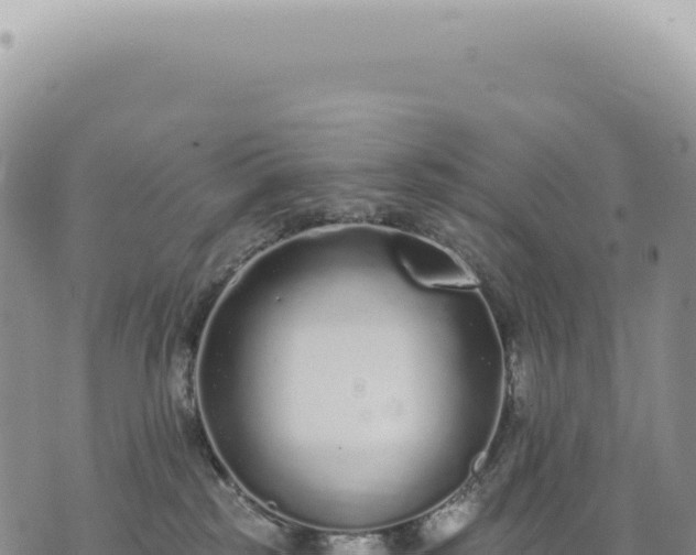 X0000073710185200608101848