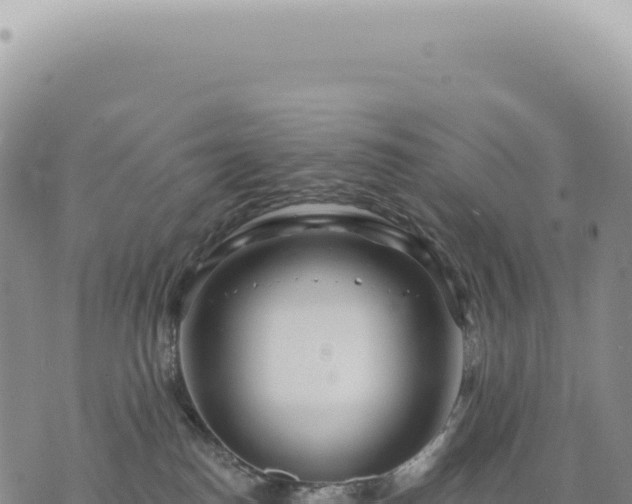 X0000073710186200608101848