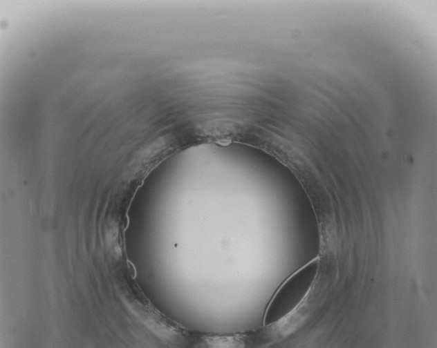 X0000073710187200608101848