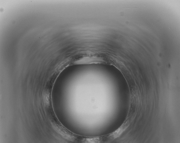 X0000073710188200608101848