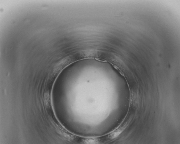 X0000073710189200608101848