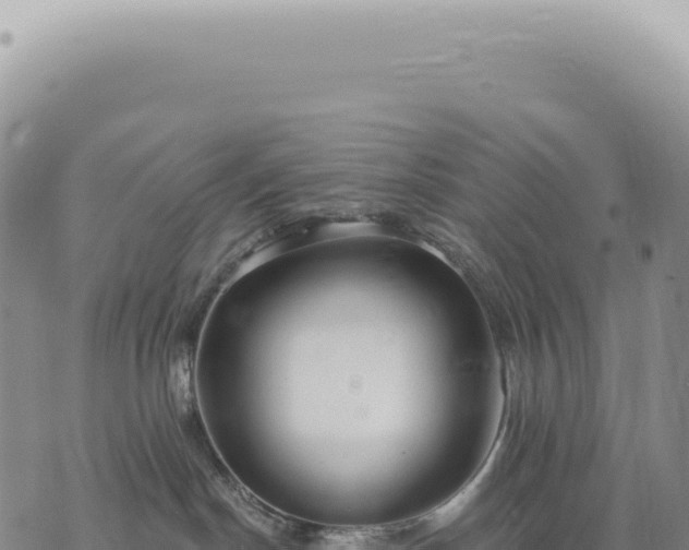 X0000073710190200608101848