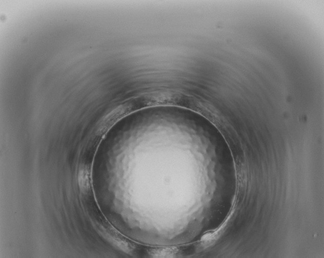 X0000073710191200608101848