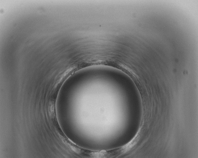 X0000073710192200608101848