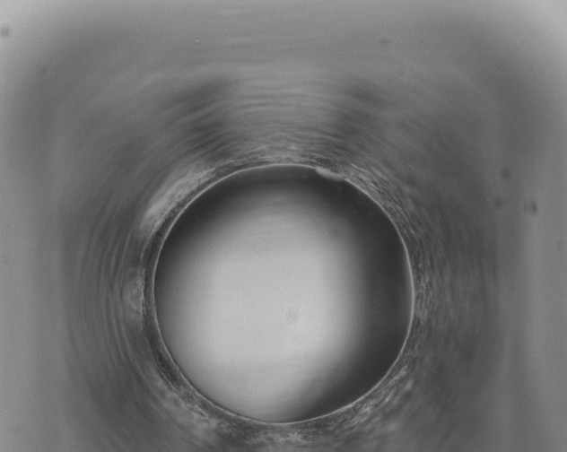 X0000073710194200608101847