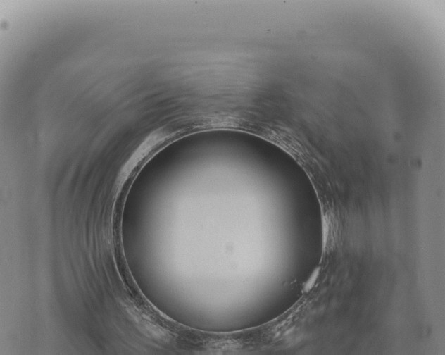 X0000073710195200608101847