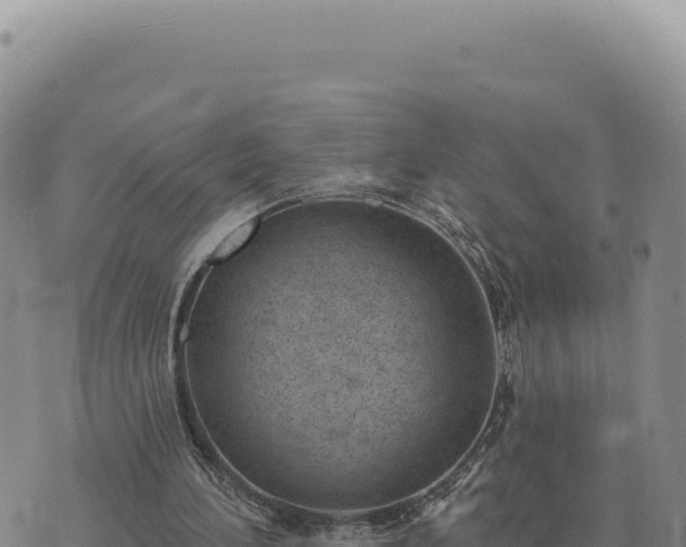 X0000073710196200608101847