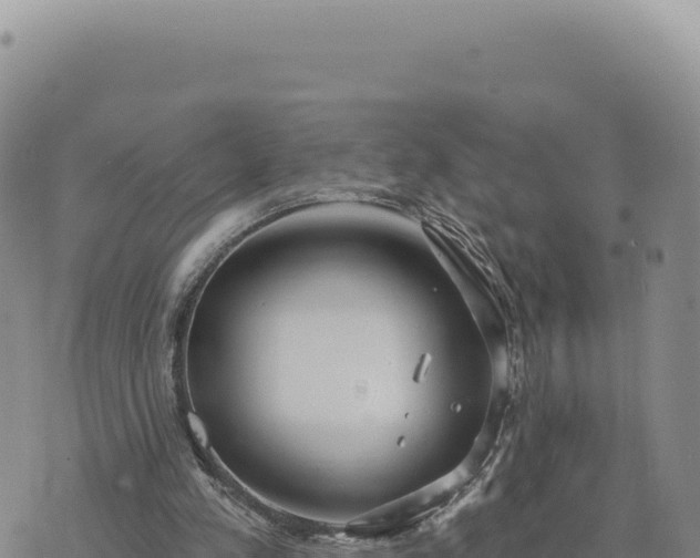 X0000073710197200608101847