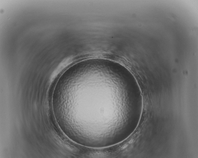 X0000073710198200608101847