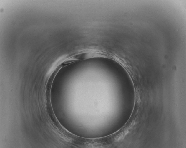 X0000073710199200608101847