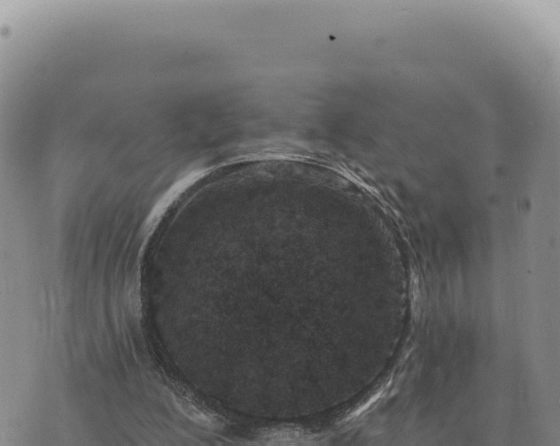 X0000073710200200608101847