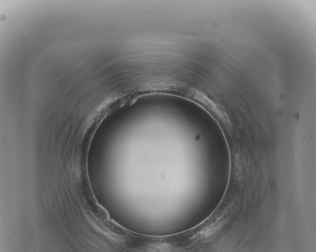 X0000073710203200608101847