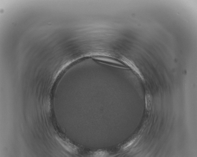 X0000073710204200608101847