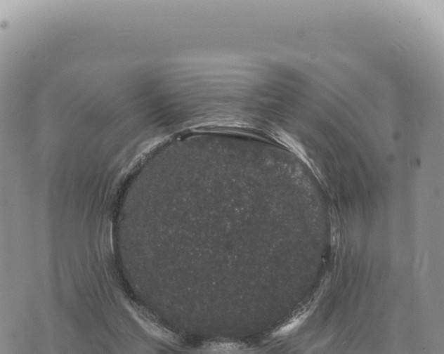 X0000073710205200608101847