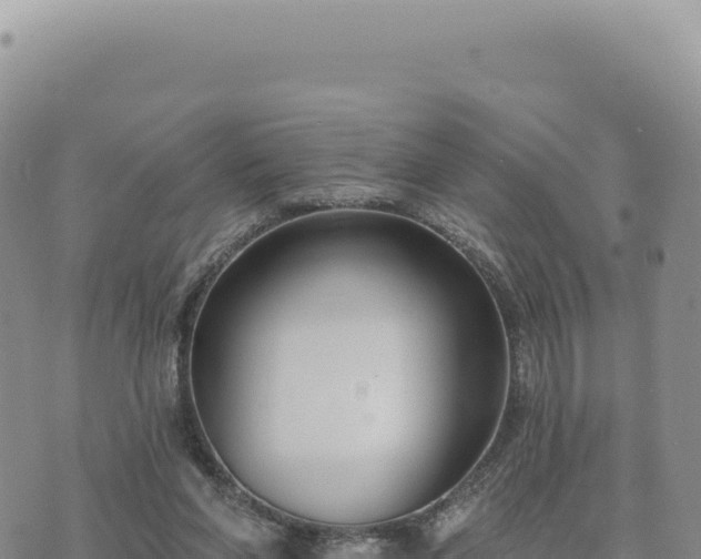 X0000073710206200608101847