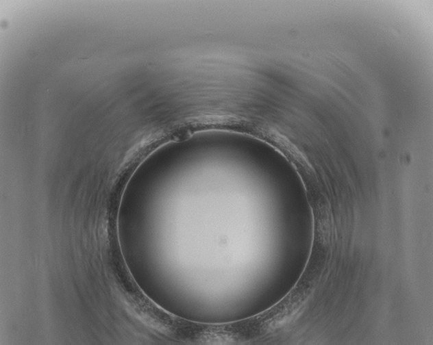 X0000073710207200608101847