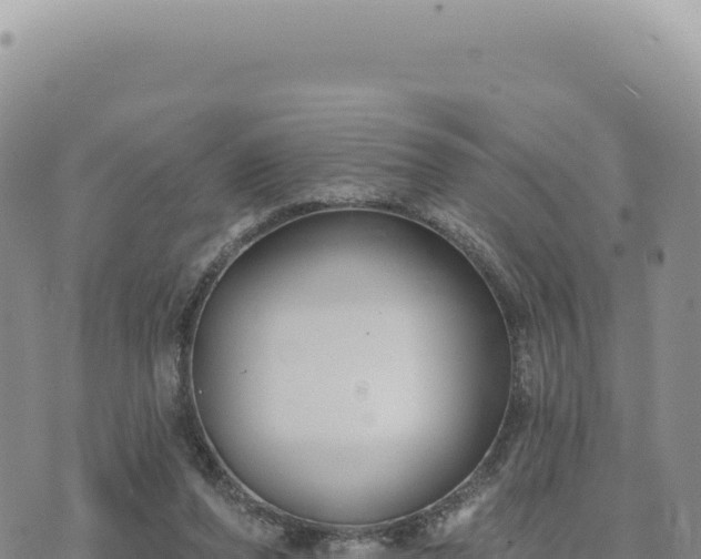 X0000073710208200608101847