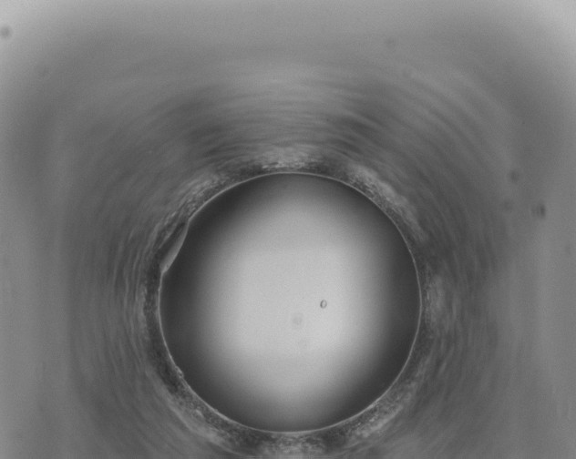 X0000073710209200608101847