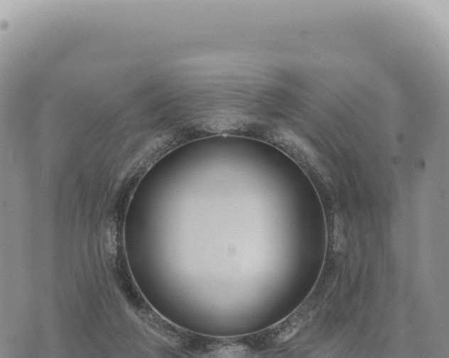 X0000073710210200608101847