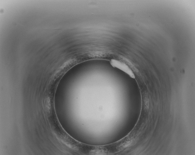 X0000073710211200608101847