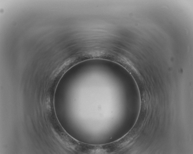 X0000073710212200608101847