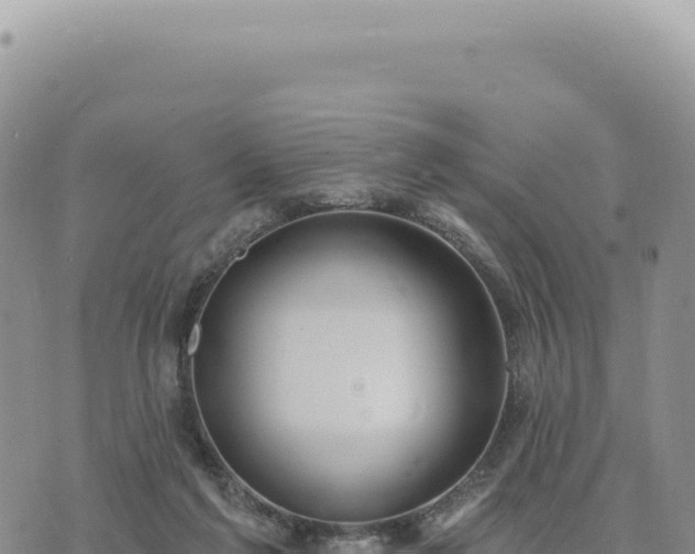 X0000073710213200608101847