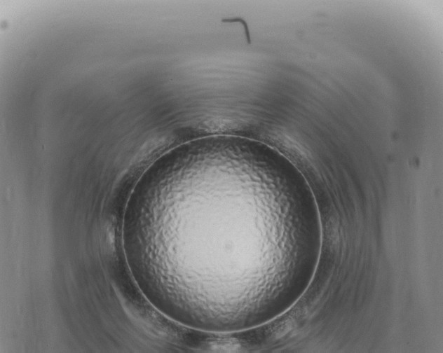 X0000073710214200608101847