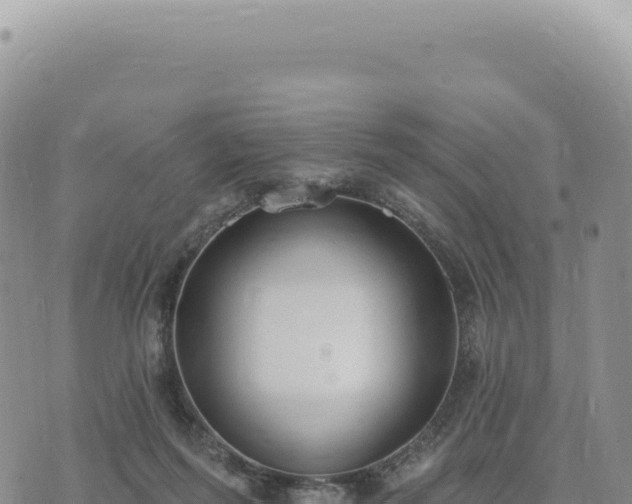 X0000073710215200608101847