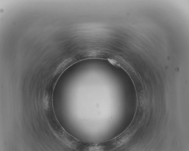 X0000073710216200608101847