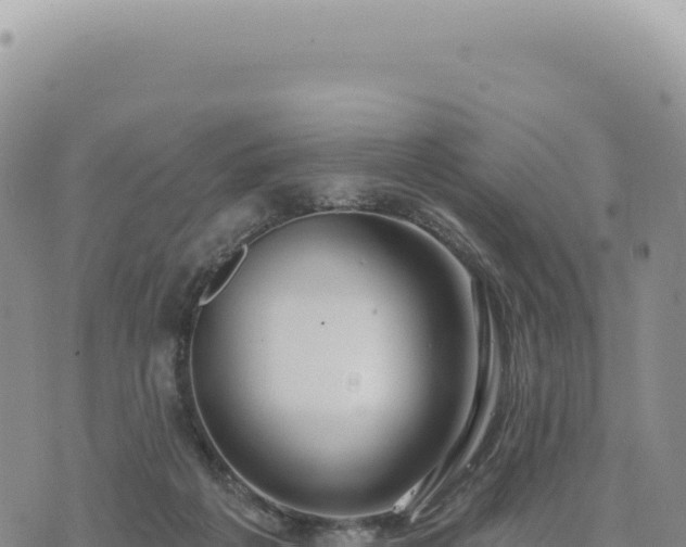 X0000073710217200608101847