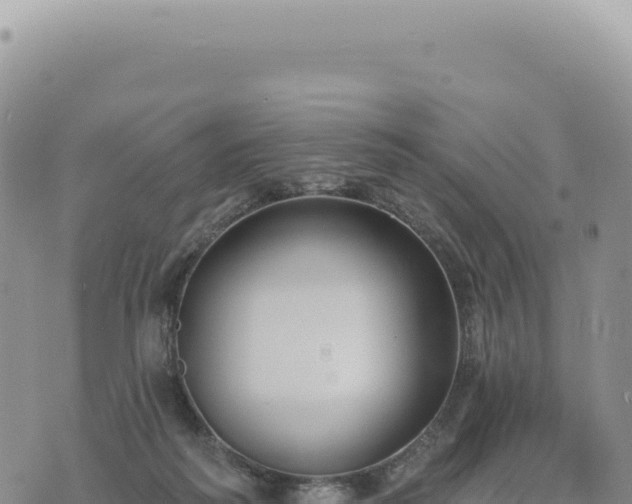 X0000073710218200608101847